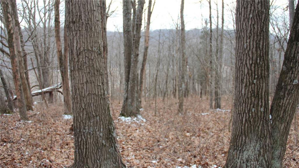 18072 Duck Creek Road Laurel, IN 47024 - Photo 22 of 44