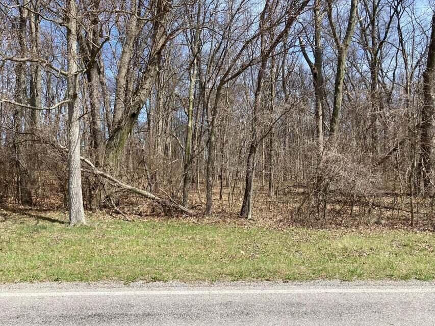 0 Blayney Road Sunbury, OH 43074 - Photo 3 of 4 3