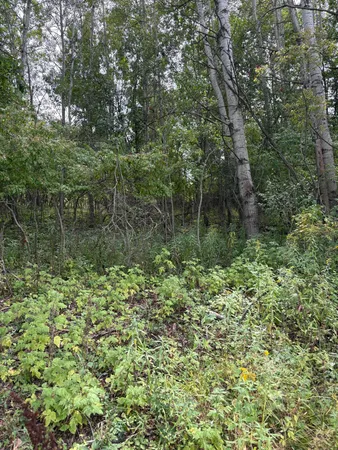$5,000 | Coocpa Lake, Unit LOTS 455 456, Evart, MI 49631