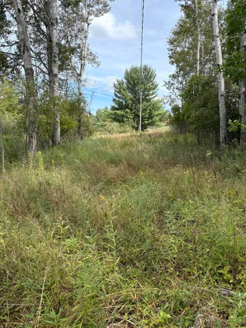 $9,900 | Lot455-456 Lot455-456 Coocpa- Lake, Evart, MI 49631