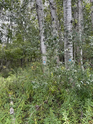 $9,900 | Lot455-456 Lot455-456 Coocpa- Lake, Evart, MI 49631