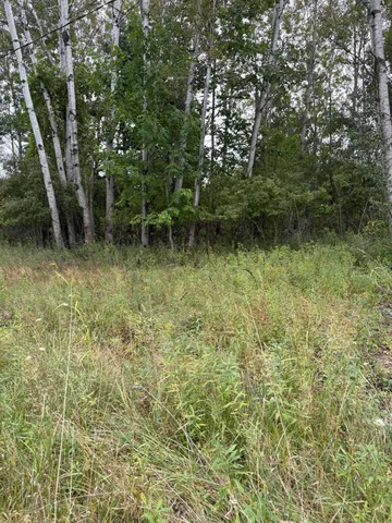 $9,900 | Lot455-456 Lot455-456 Coocpa- Lake, Evart, MI 49631