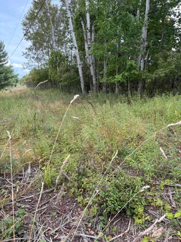 $9,900 | Lot455-456 Lot455-456 Coocpa- Lake, Evart, MI 49631