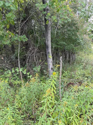 $9,900 | Lot455-456 Lot455-456 Coocpa- Lake, Evart, MI 49631