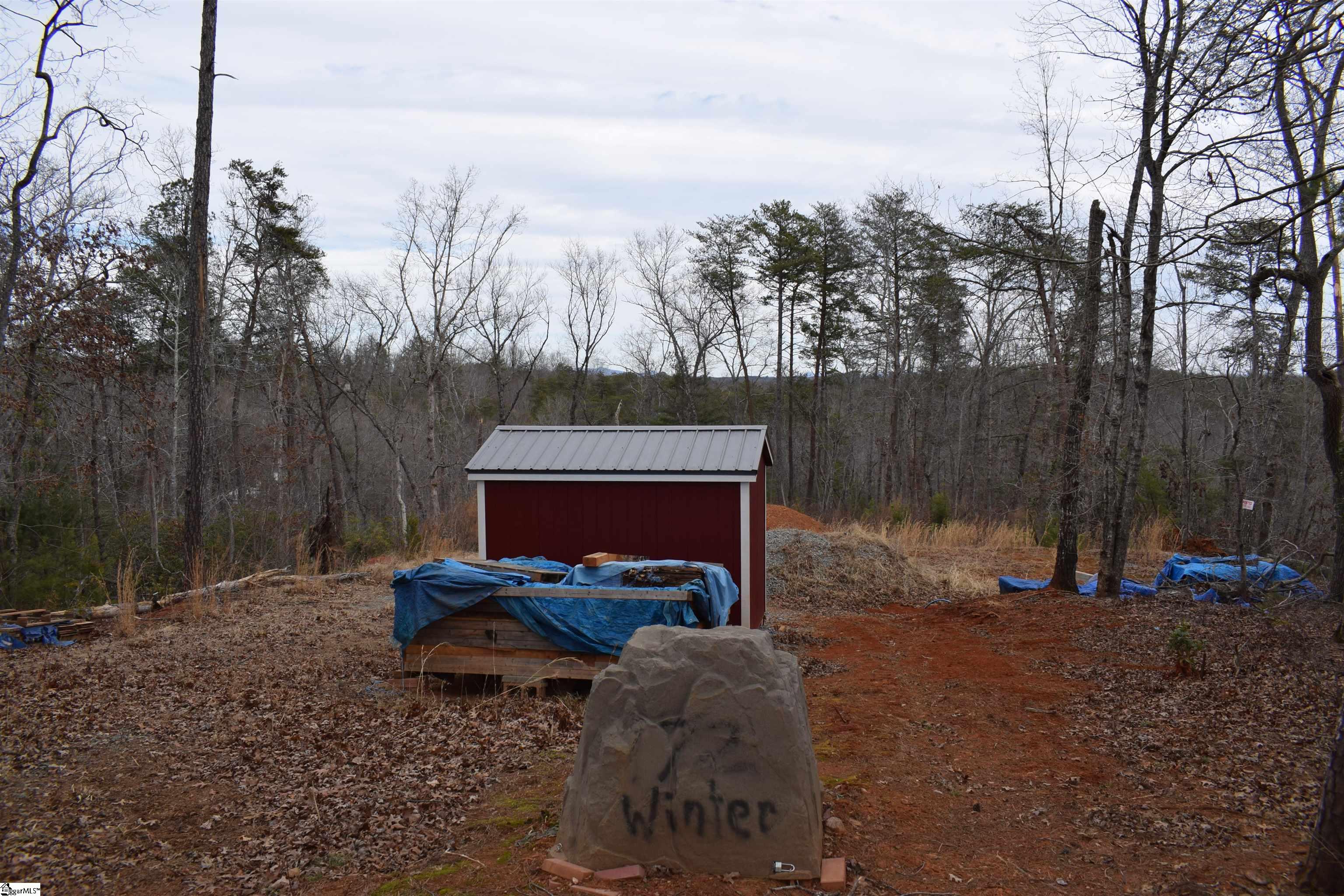 172 Winter Lane Mill Spring, NC 28756 - Photo 11 of 21
