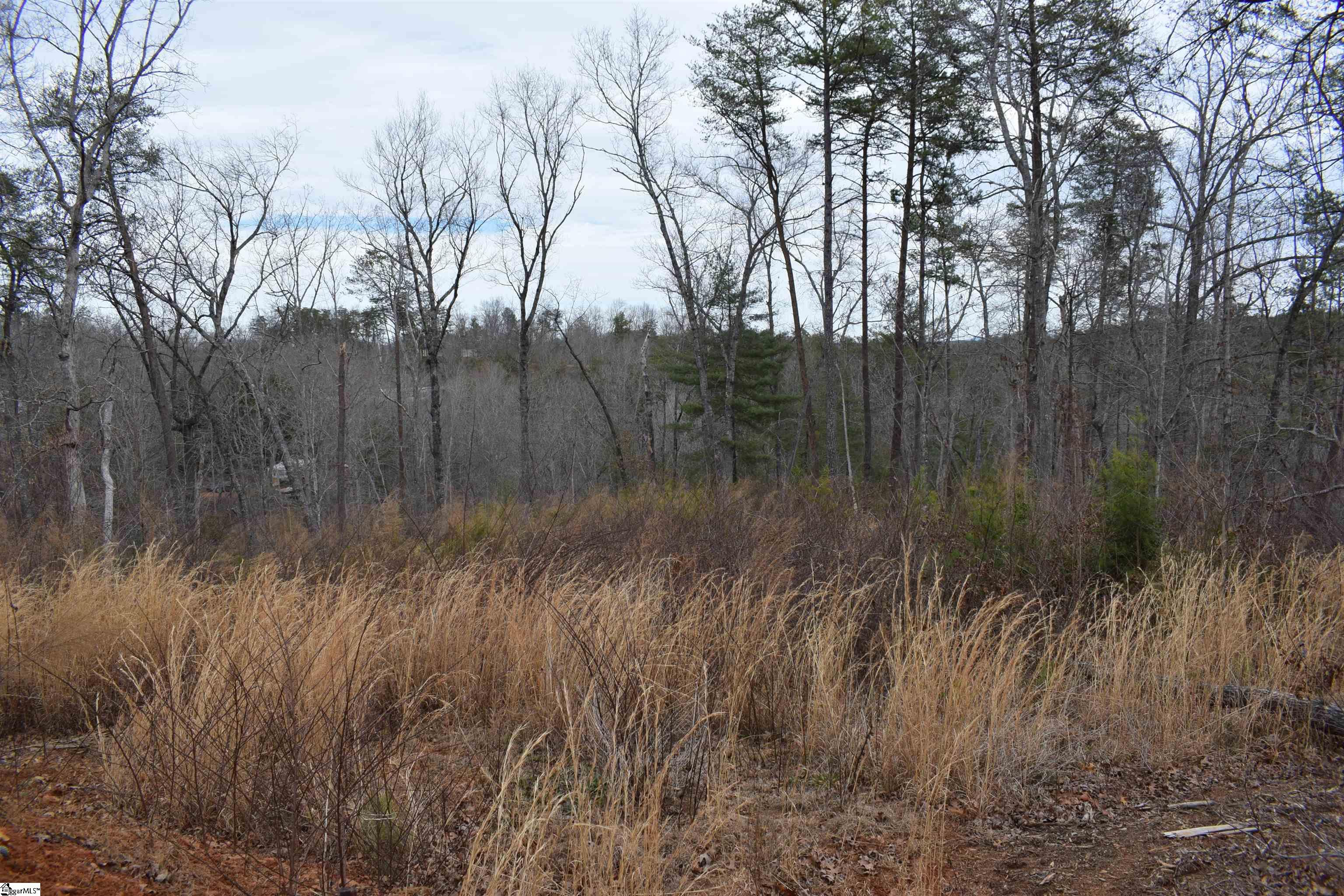 172 Winter Lane Mill Spring, NC 28756 - Photo 16 of 21