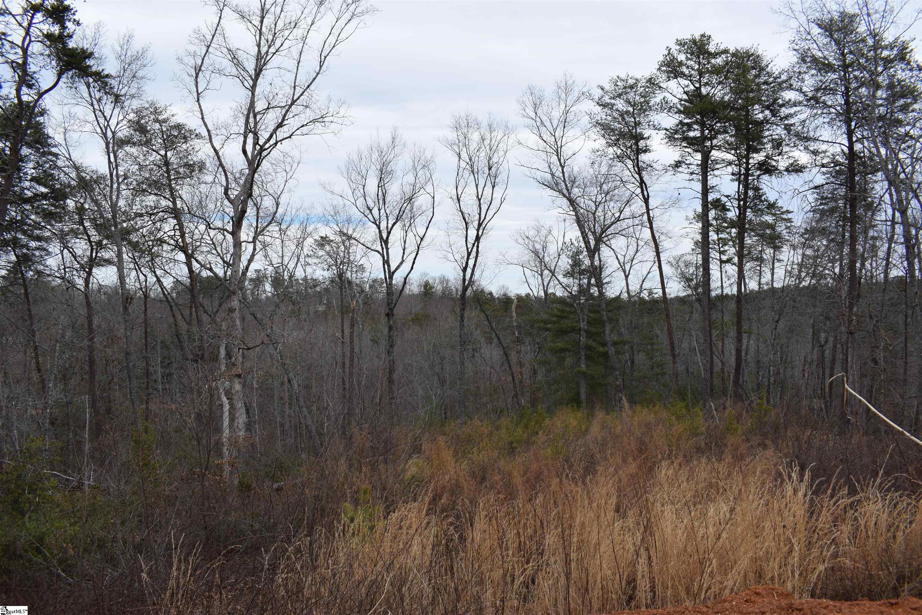 172 Winter Lane Mill Spring, NC 28756 - Photo 17 of 21