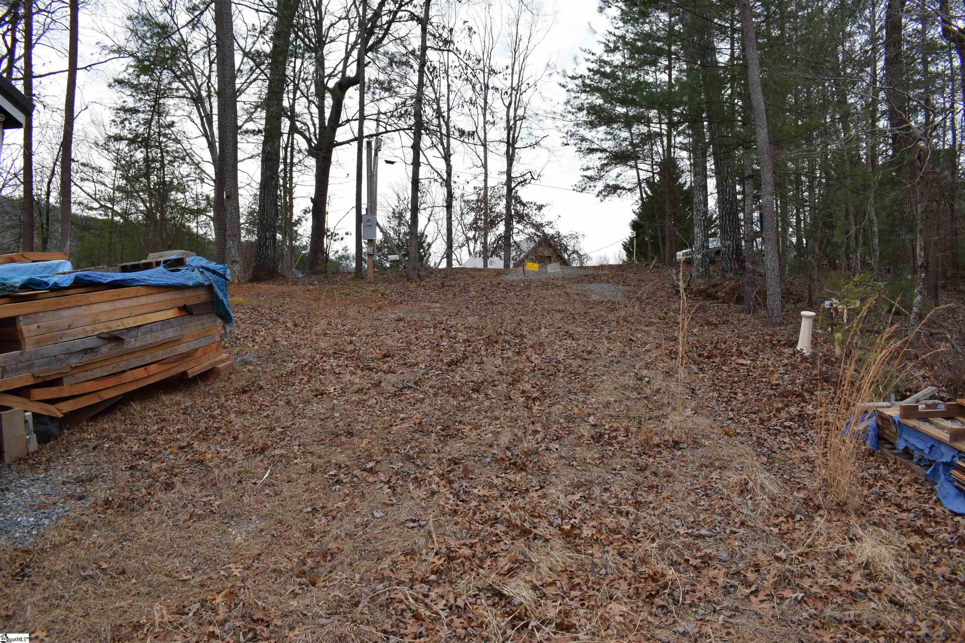 172 Winter Lane Mill Spring, NC 28756 - Photo 18 of 21