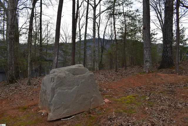 $68,000 | 172 Winter Lane, Mill Spring, NC 28756