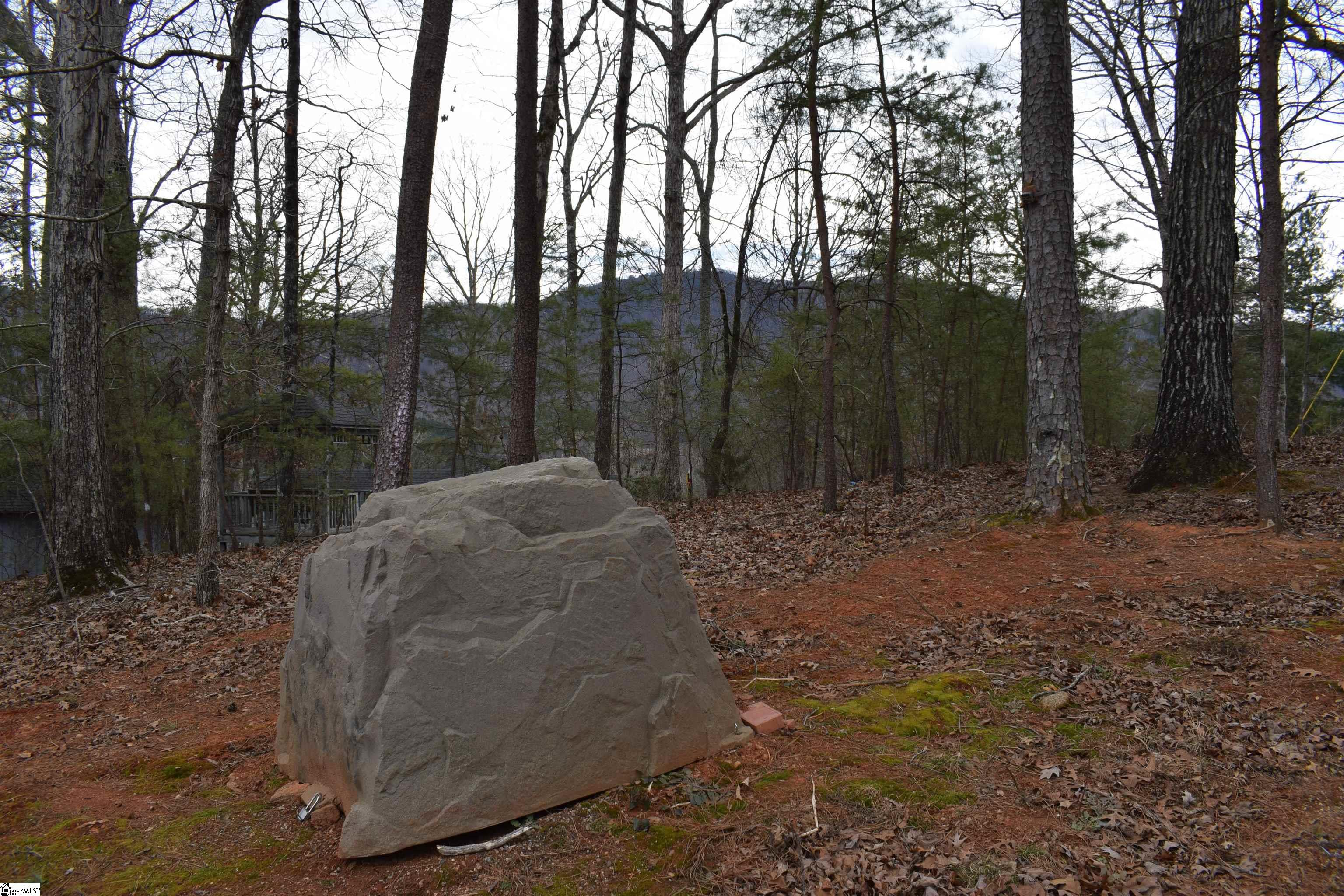 172 Winter Lane Mill Spring, NC 28756 - Photo 20 of 21