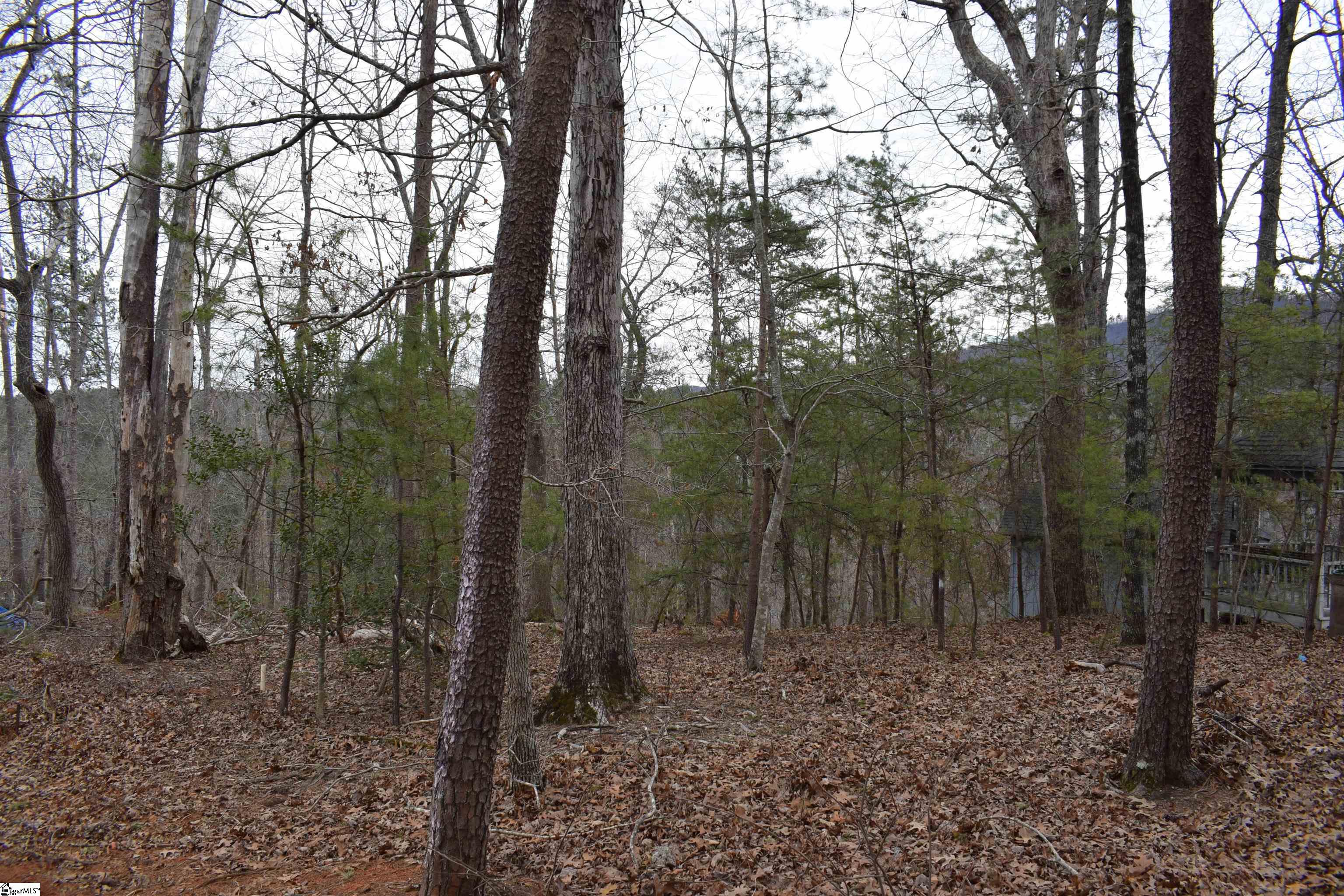 172 Winter Lane Mill Spring, NC 28756 - Photo 21 of 21