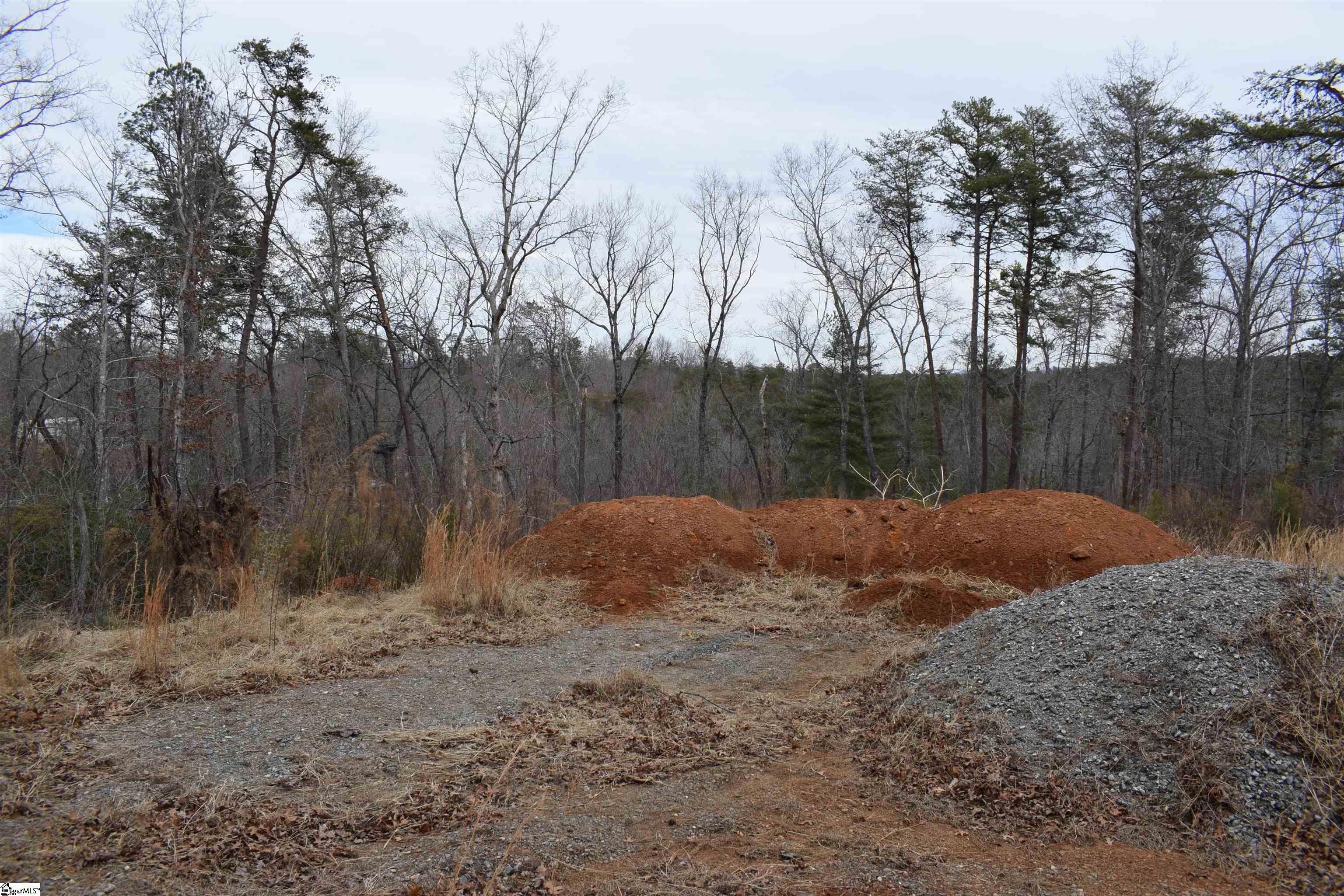 172 Winter Lane Mill Spring, NC 28756 - Photo 4 of 21