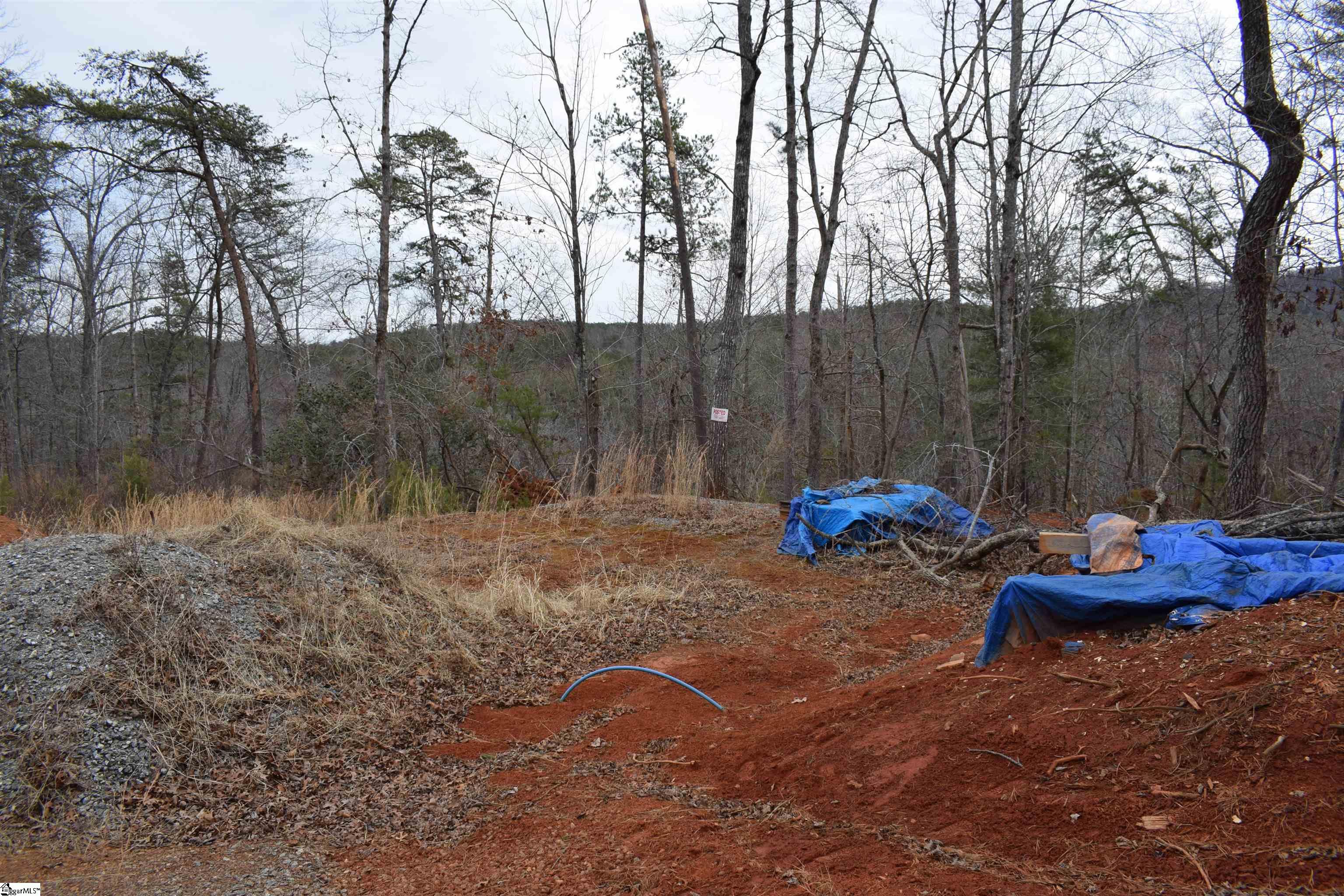 172 Winter Lane Mill Spring, NC 28756 - Photo 5 of 21