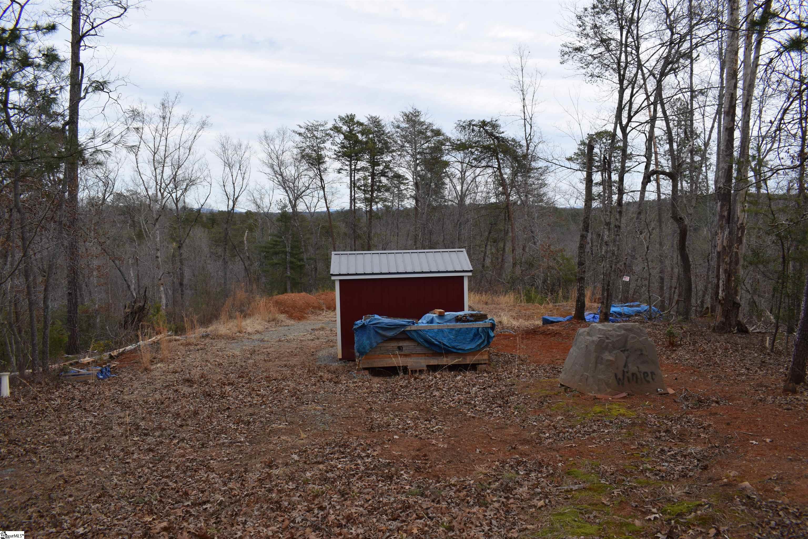 172 Winter Lane Mill Spring, NC 28756 - Photo 10 of 21