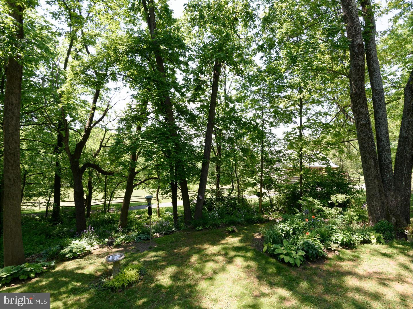 1231 Ridge Road Pottstown, PA 19465 - Photo 7 of 25 View in Back