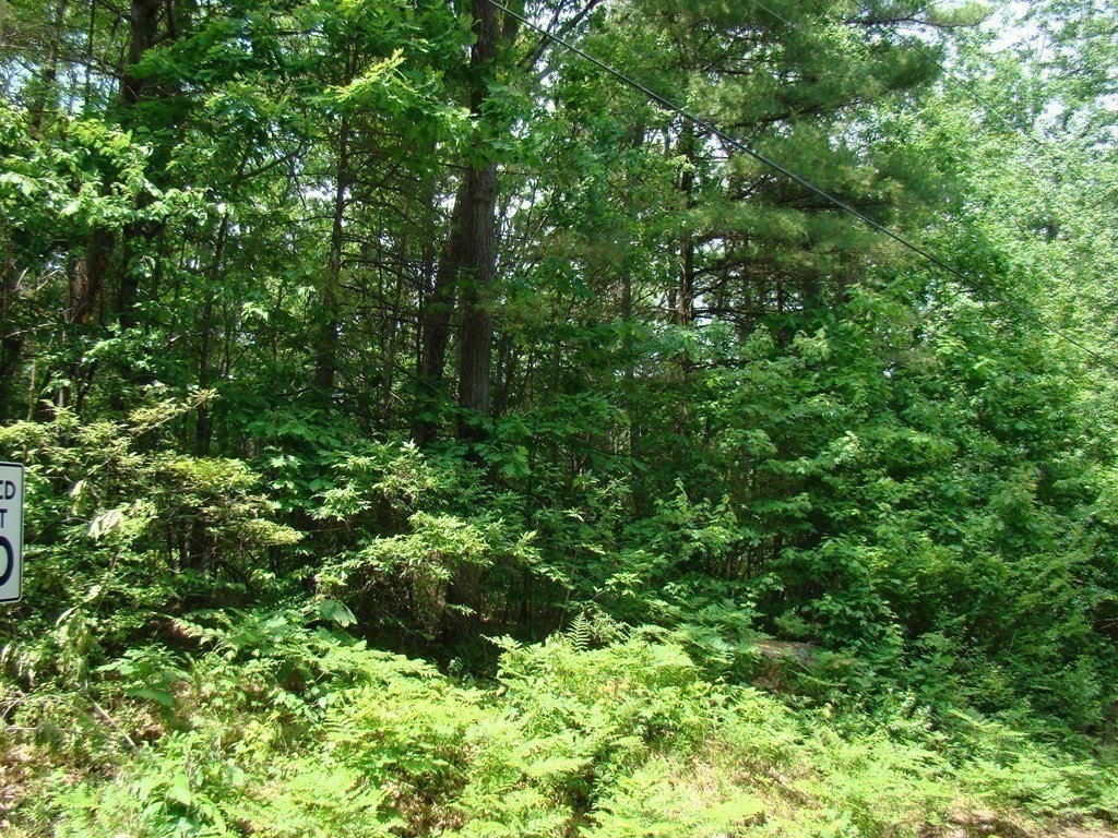Lot 56-58 Secret Lake Road Phillipston, MA 01331 - Photo 3 of 15 Gallery Image 3