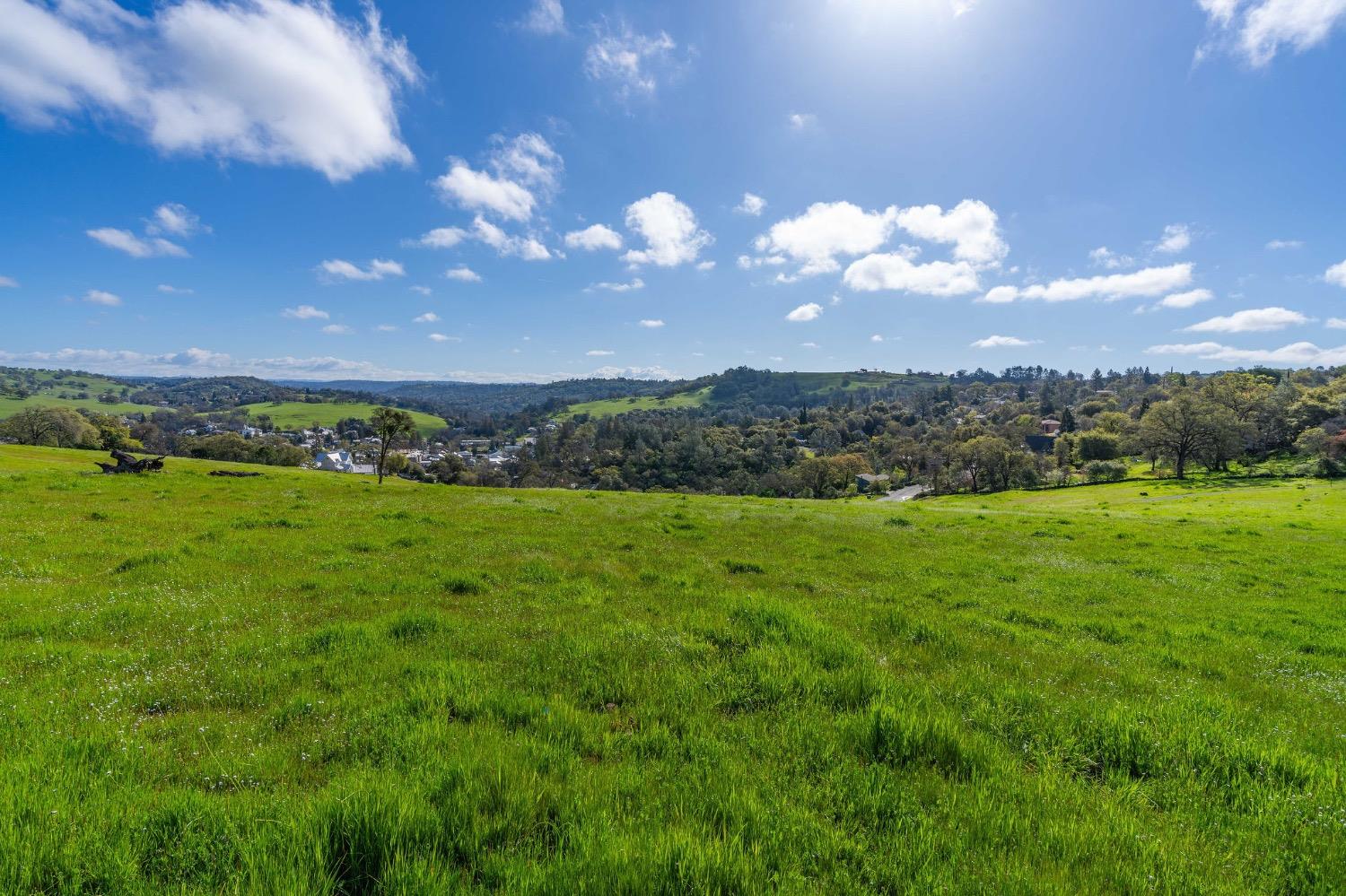 0 David Drive Sutter Creek, CA 95685 - Photo 13 of 32 a view of a big yard with lots of green space