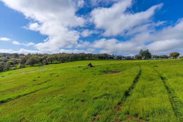 a view of an outdoor space and a yard