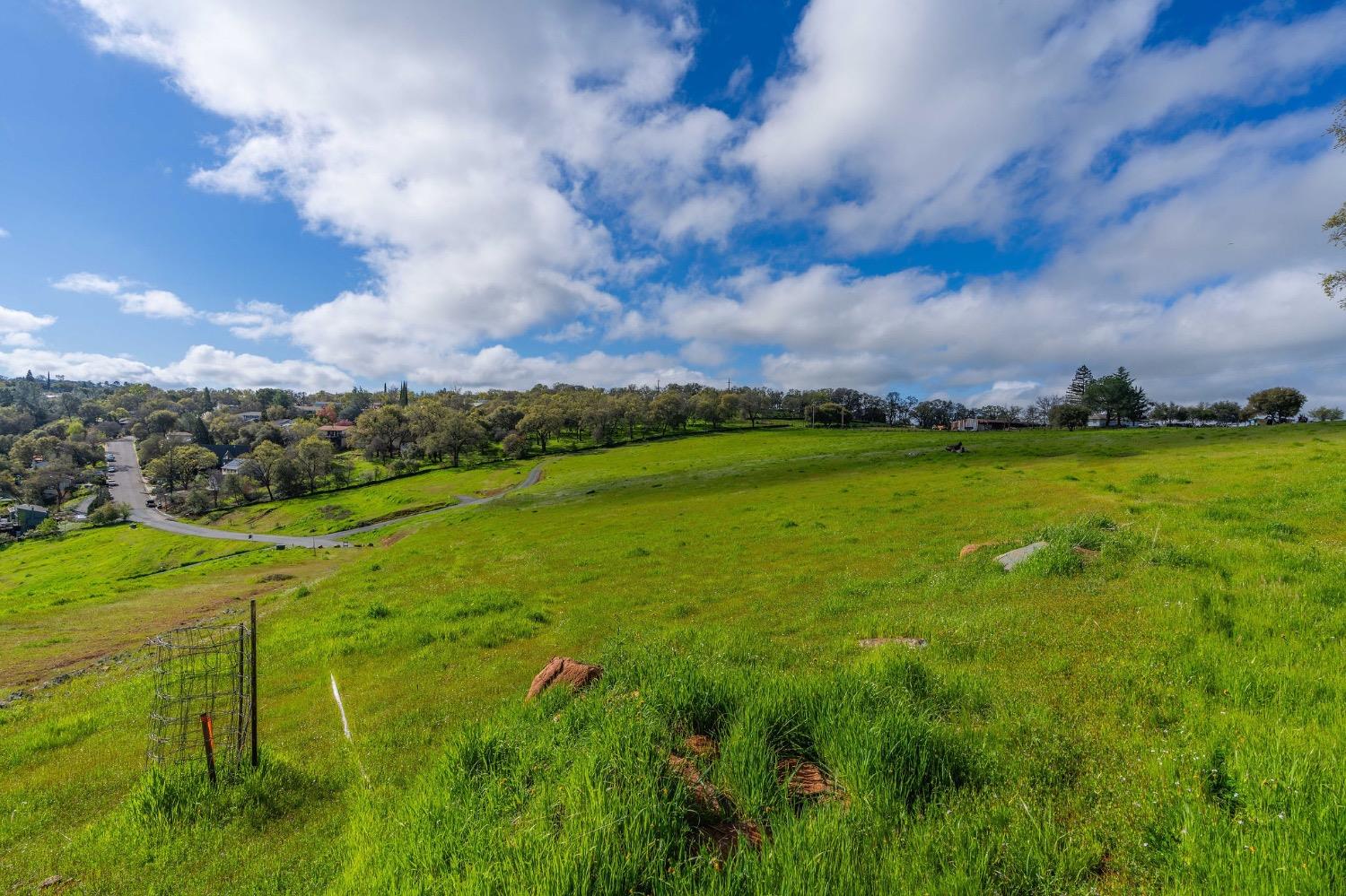 0 David Drive Sutter Creek, CA 95685 - Photo 16 of 32 a view of a big yard with a large tree and plants