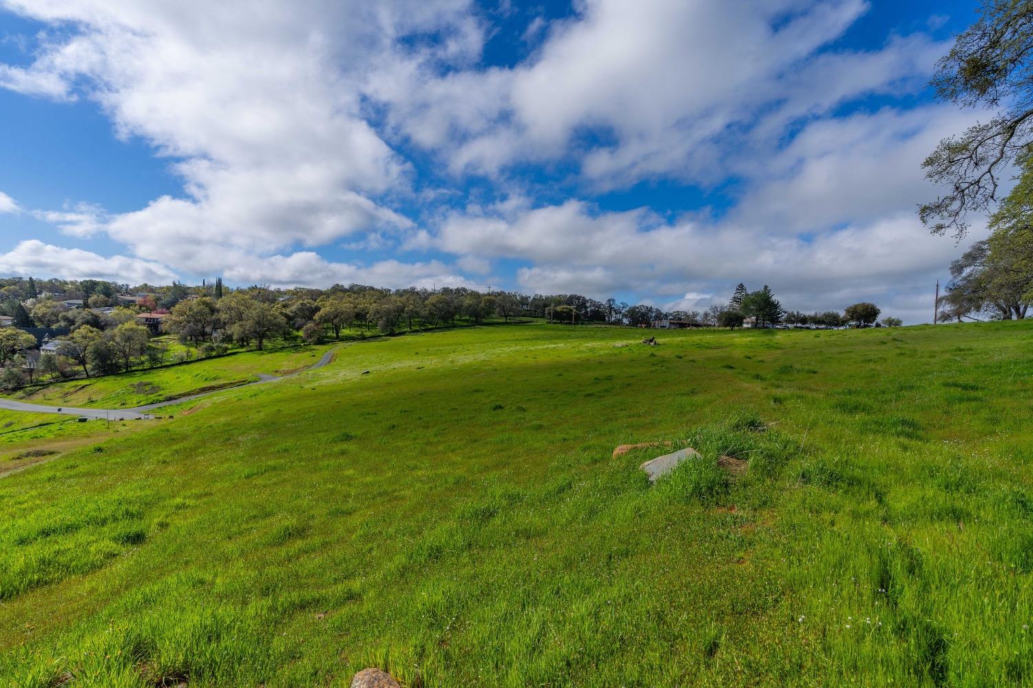 0 David Drive Sutter Creek, CA 95685 - Photo 18 of 32 a view of a big yard with lots of green space