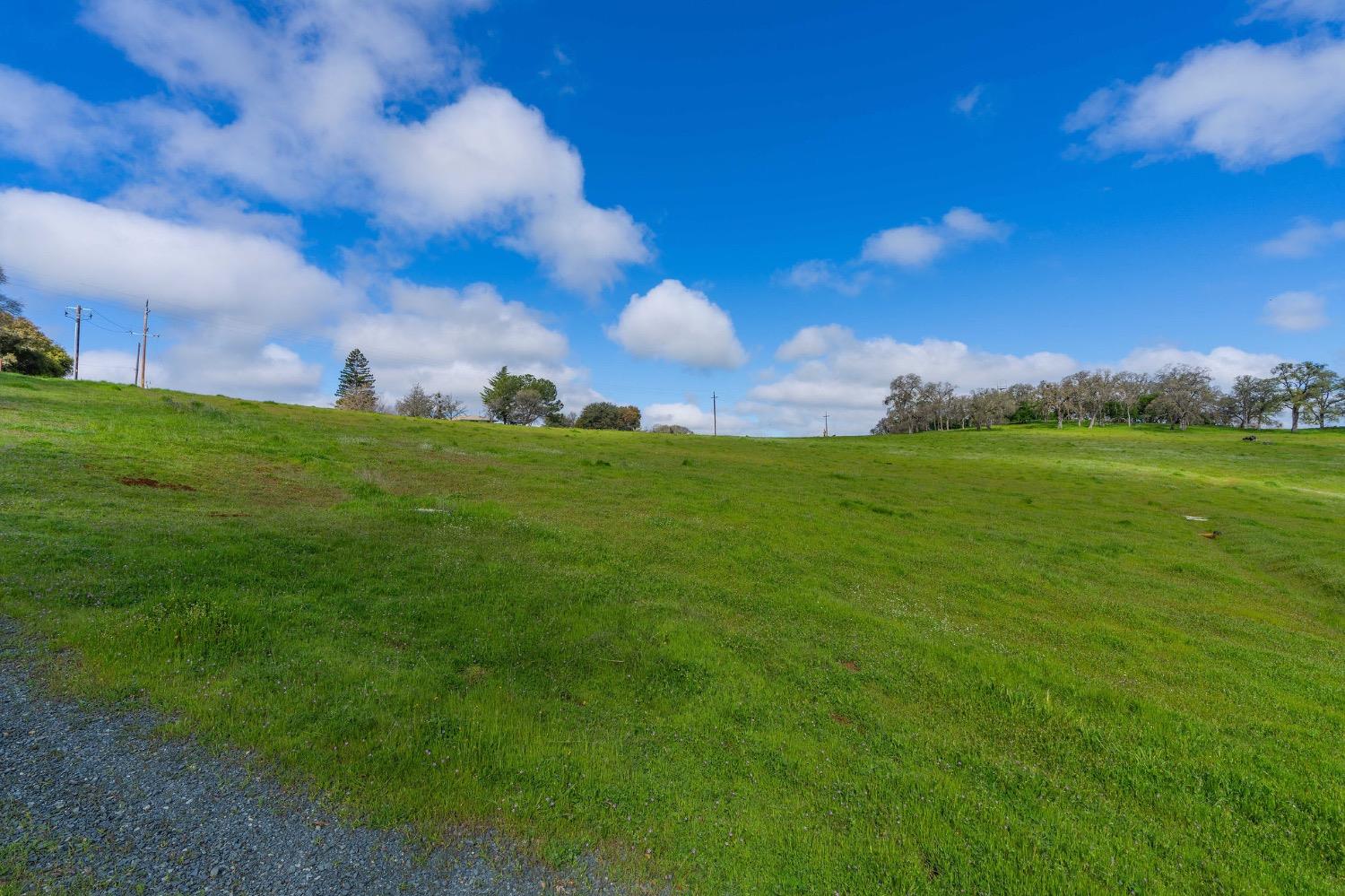 0 David Drive Sutter Creek, CA 95685 - Photo 21 of 32 a view of a big yard with a house in the background