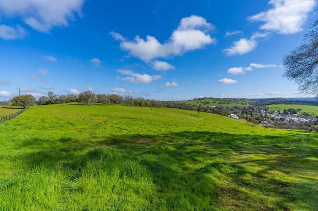 a view of a field with an ocean