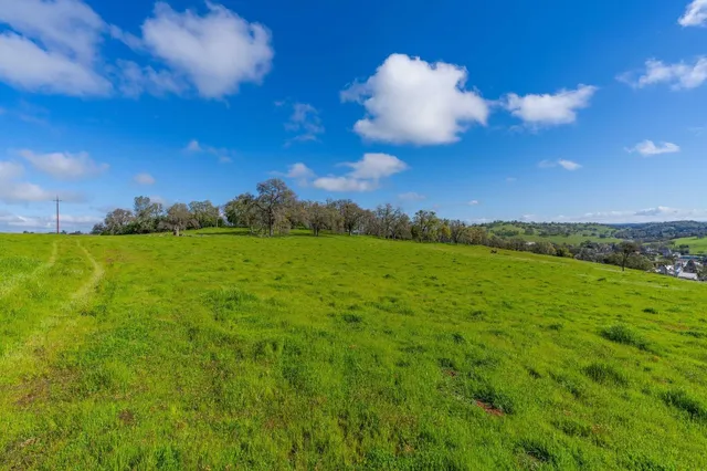 a view of a big yard with lots of green space