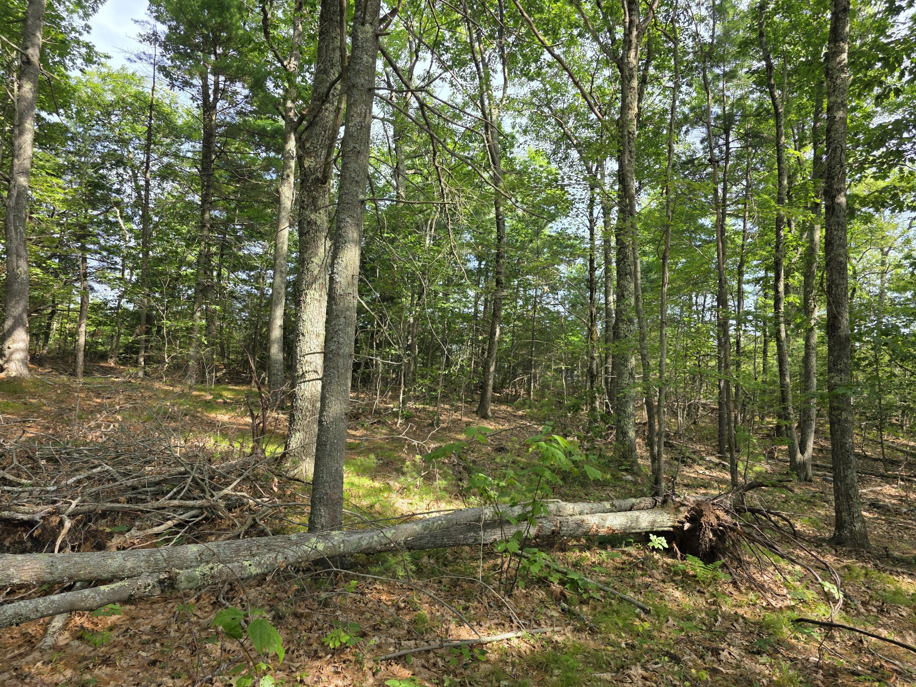 0 Pinnacle Road Liberty, ME 04949 - Photo 7 of 12