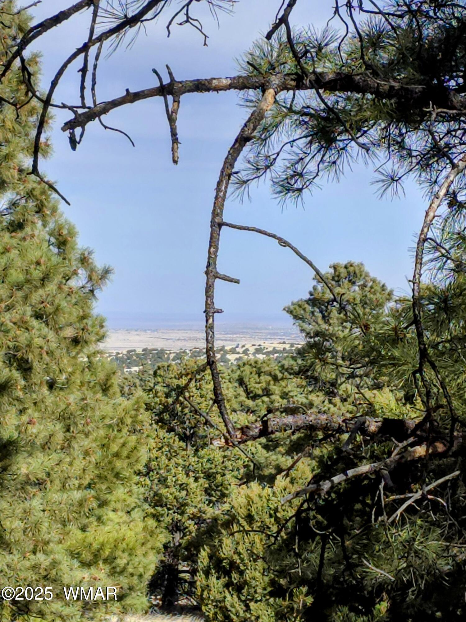Lot 8 Red Cabin Ranch, Unit LOT8 Vernon, AZ 85940 - Photo 12 of 31 Lot 8 Red Cabin Ranch 21