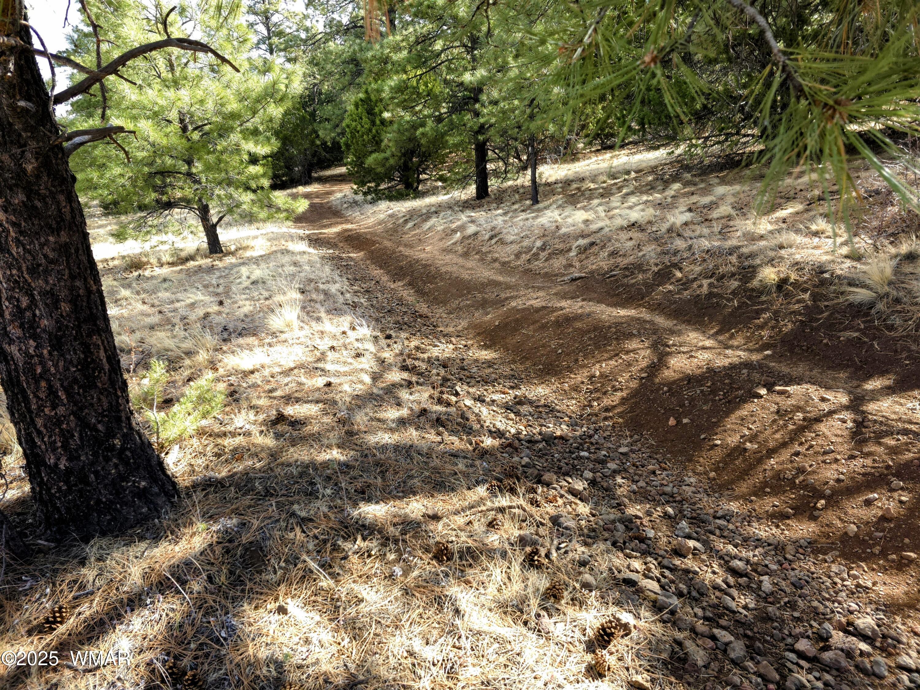 Lot 8 Red Cabin Ranch, Unit LOT8 Vernon, AZ 85940 - Photo 13 of 31 Lot 8 Red Cabin Ranch 10