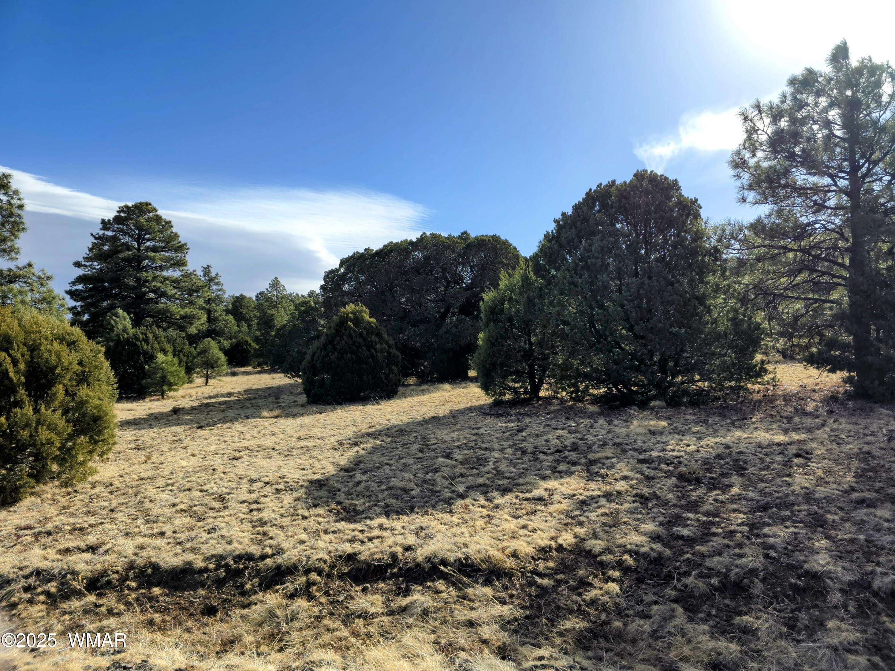 Lot 8 Red Cabin Ranch, Unit LOT8 Vernon, AZ 85940 - Photo 14 of 31 Lot 8 Red Cabin Ranch 3
