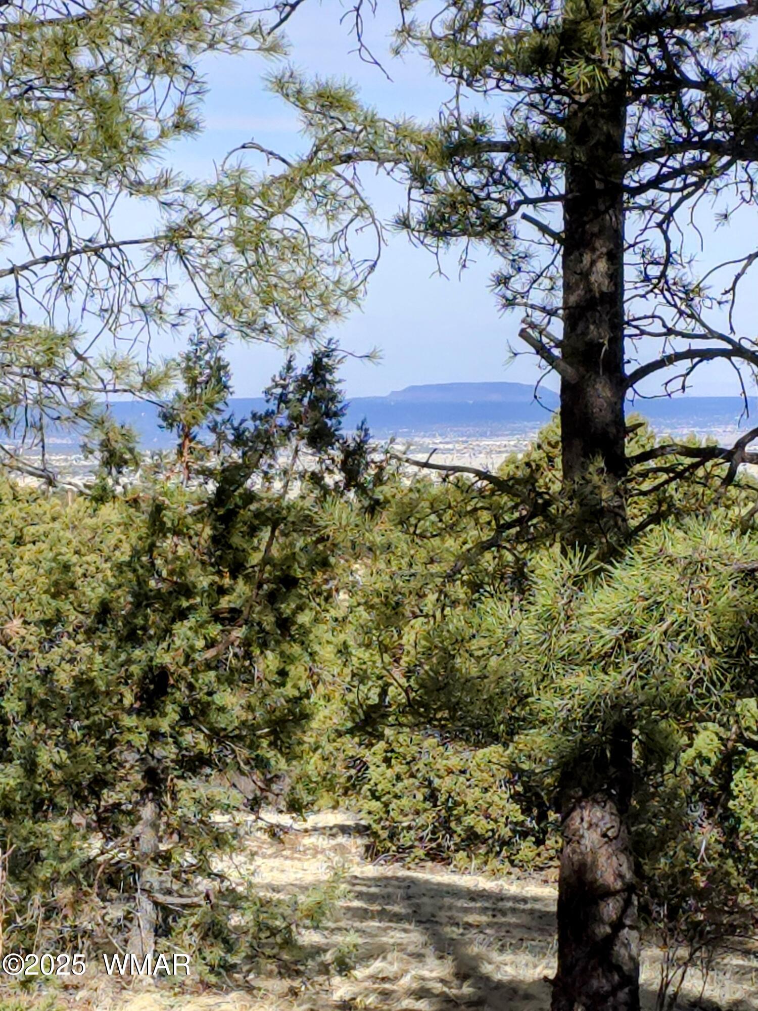 Lot 8 Red Cabin Ranch, Unit LOT8 Vernon, AZ 85940 - Photo 2 of 31 Lot 8 Red Cabin Ranch 20