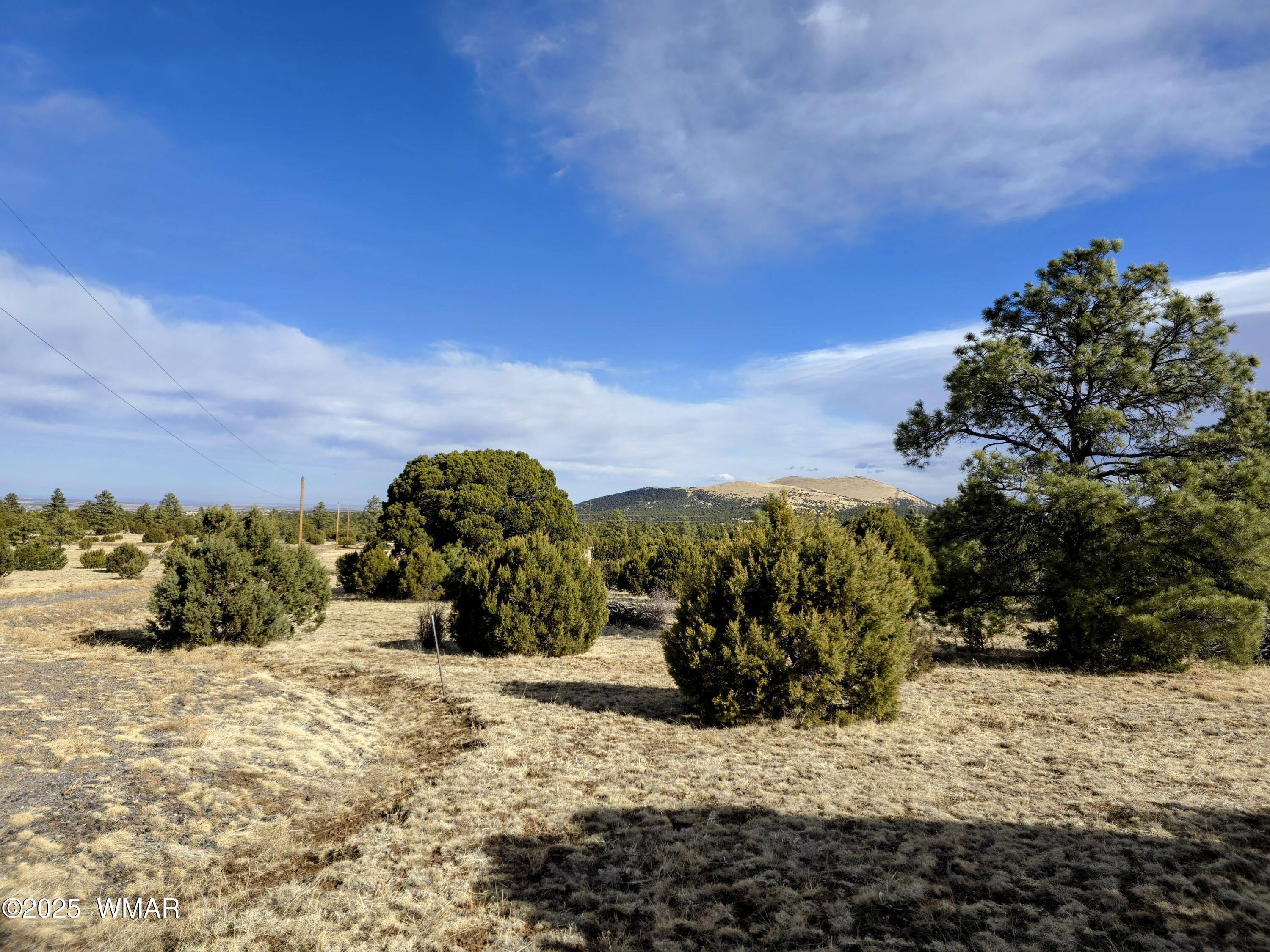 Lot 8 Red Cabin Ranch, Unit LOT8 Vernon, AZ 85940 - Photo 21 of 31 Lot 8 Red Cabin Ranch 4