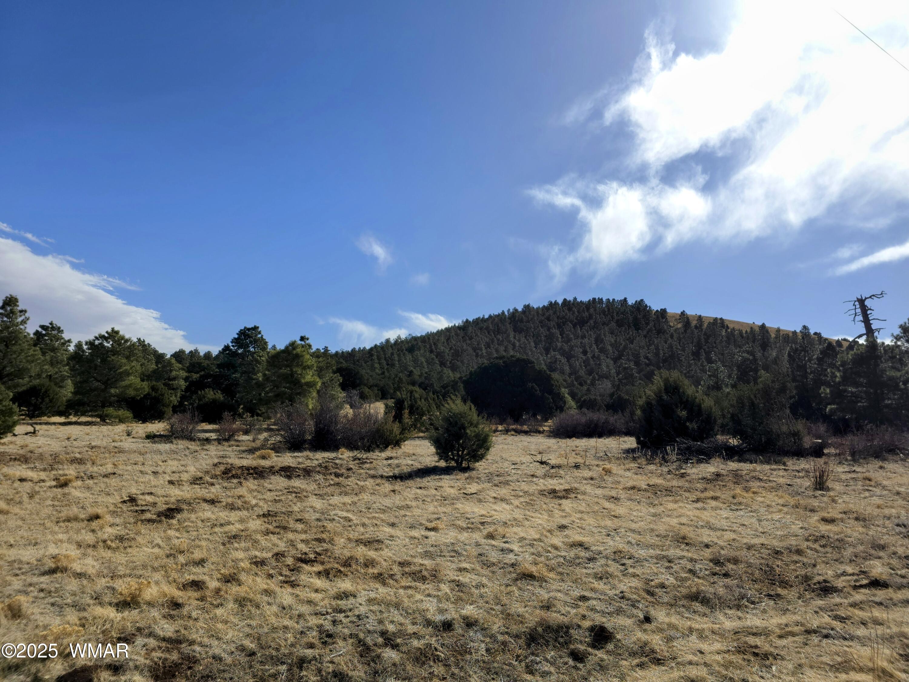 Lot 8 Red Cabin Ranch, Unit LOT8 Vernon, AZ 85940 - Photo 30 of 31 Lot 8 Red Cabin Ranch 34