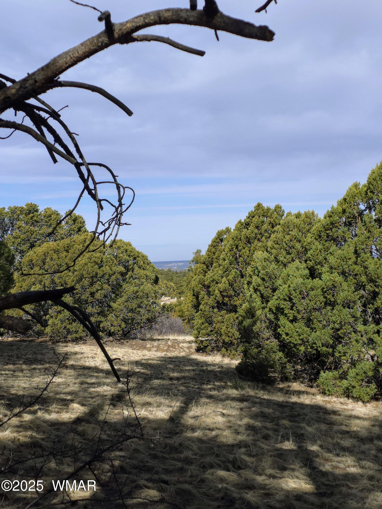 Lot 8 Red Cabin Ranch, Unit LOT8 Vernon, AZ 85940 - Photo 10 of 31 Lot 8 Red Cabin Ranch 18