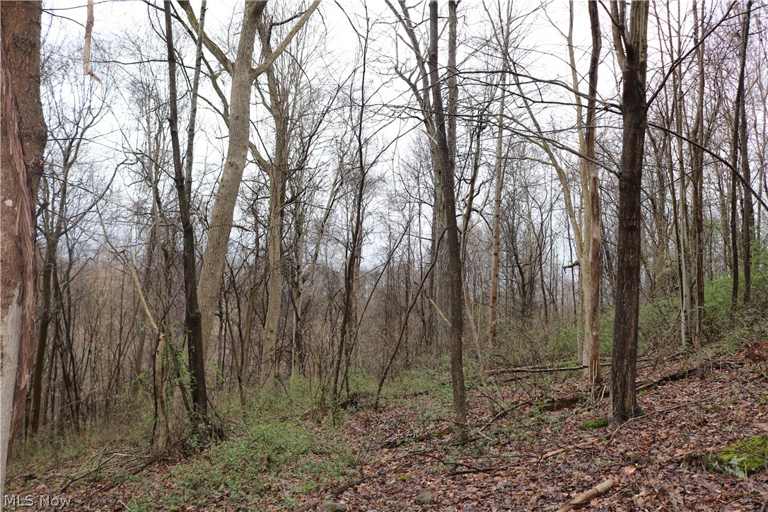 73830 Freeport Road Freeport, OH 43973 - Photo 22 of 23