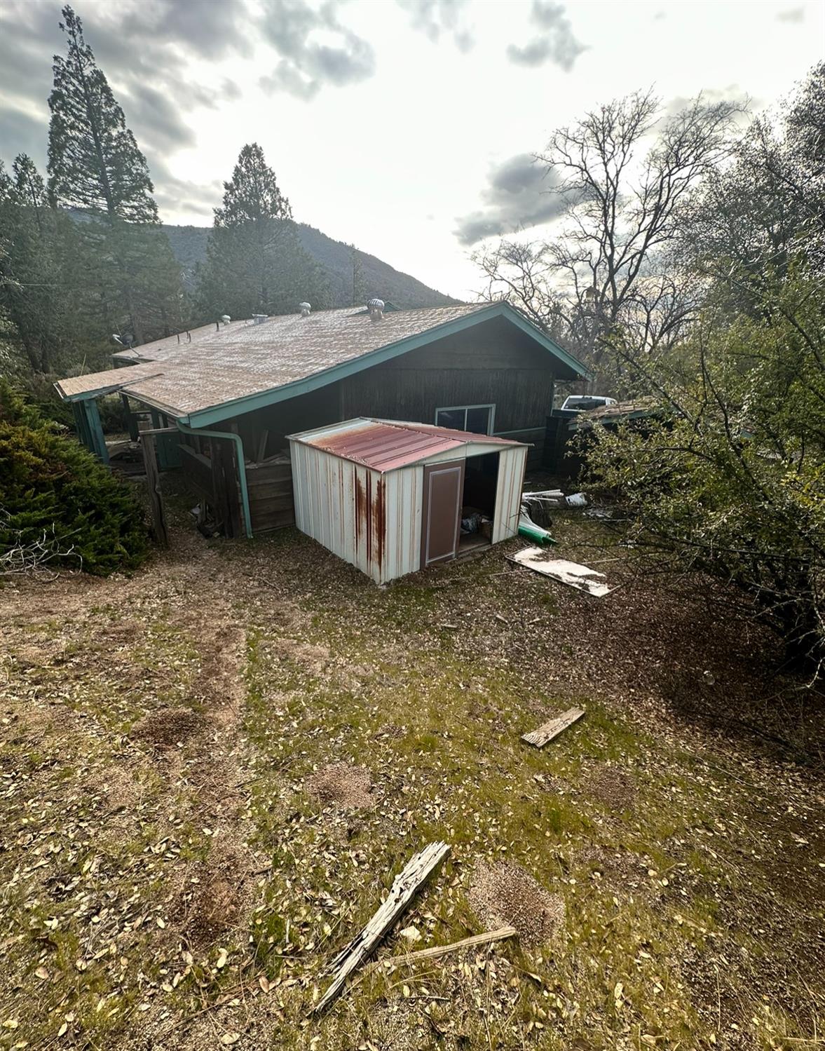 39563 Pine Ridge Road Oakhurst, CA 93644 - Photo 5 of 26 Gallery Image 5