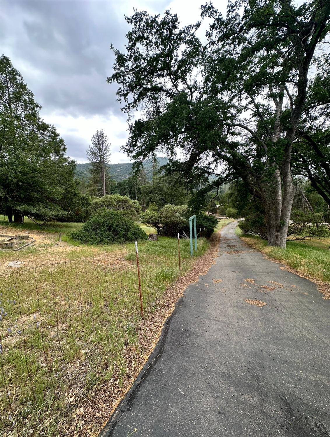39563 Pine Ridge Road Oakhurst, CA 93644 - Photo 9 of 26 Gallery Image 9
