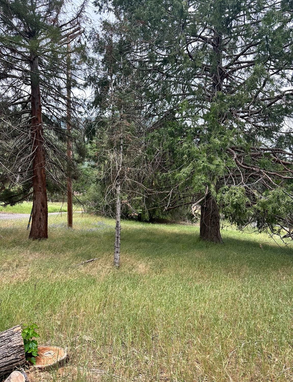 39563 Pine Ridge Road Oakhurst, CA 93644 - Photo 10 of 26 Gallery Image 10