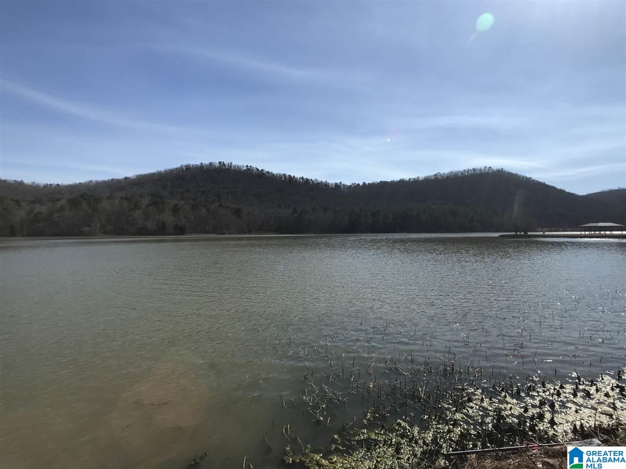 Greensport Road, Unit 2 53 Oneonta, AL 35121 - Photo 19 of 20