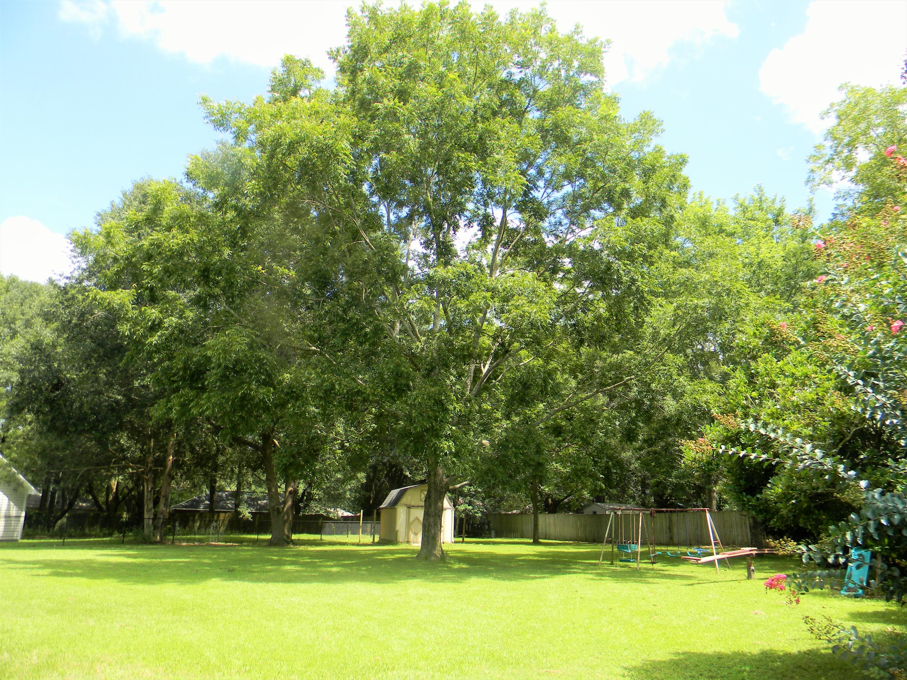 5808 Frances Street Crestview, FL 32539 - Photo 56 of 60 backyard