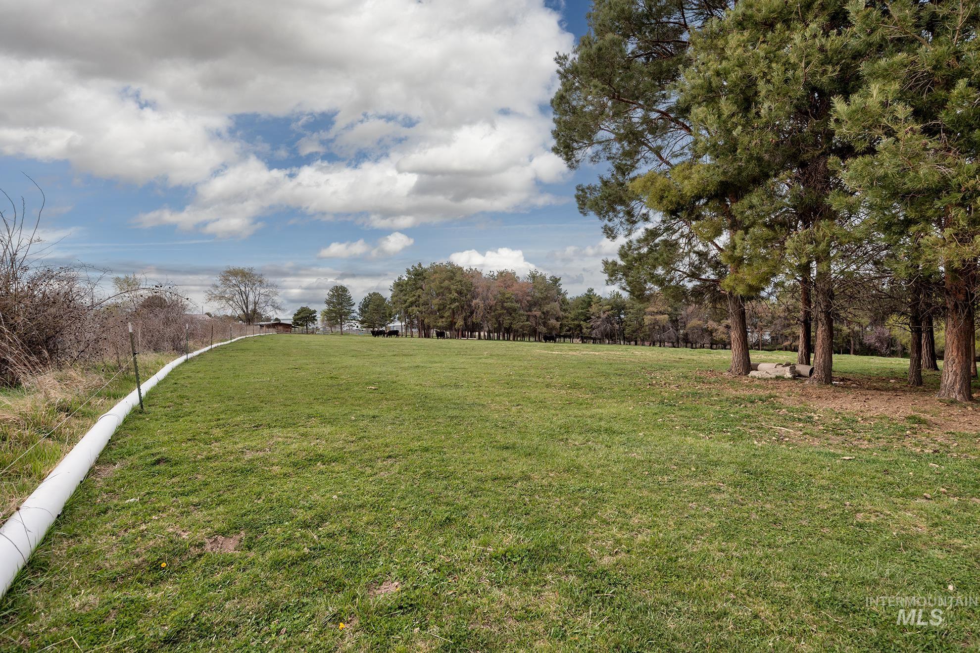 4484 Community Road Ontario, OR 97914 - Photo 21 of 35 View of grassy yard