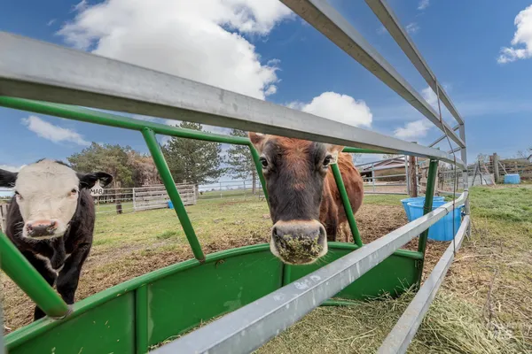 $450,000 | 4484 Community Road, Ontario, OR 97914