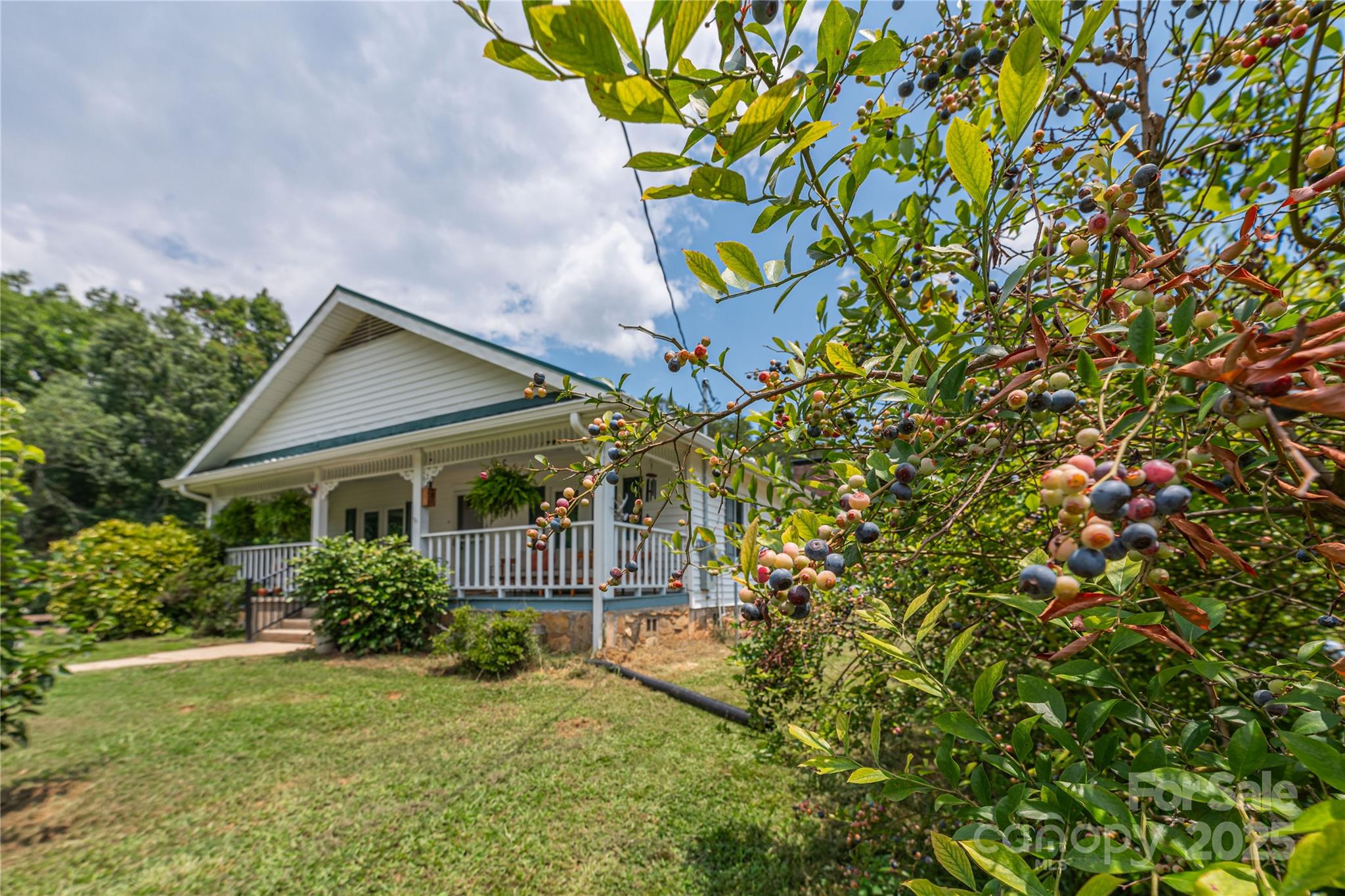 1304 Souther Road Old Fort, NC 28762 - Photo 29 of 48 a house that has a tree in front of it