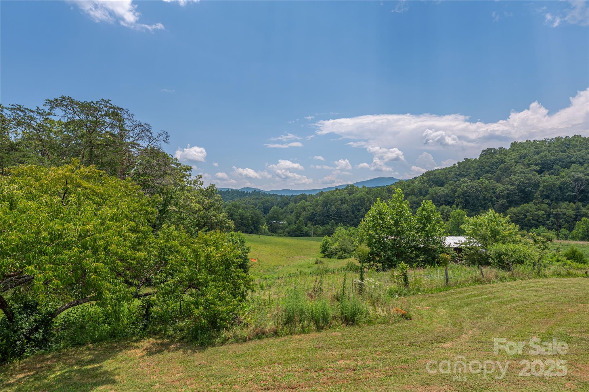 1304 Souther Road Old Fort, NC 28762 - Photo 3 of 48 a view of a lake