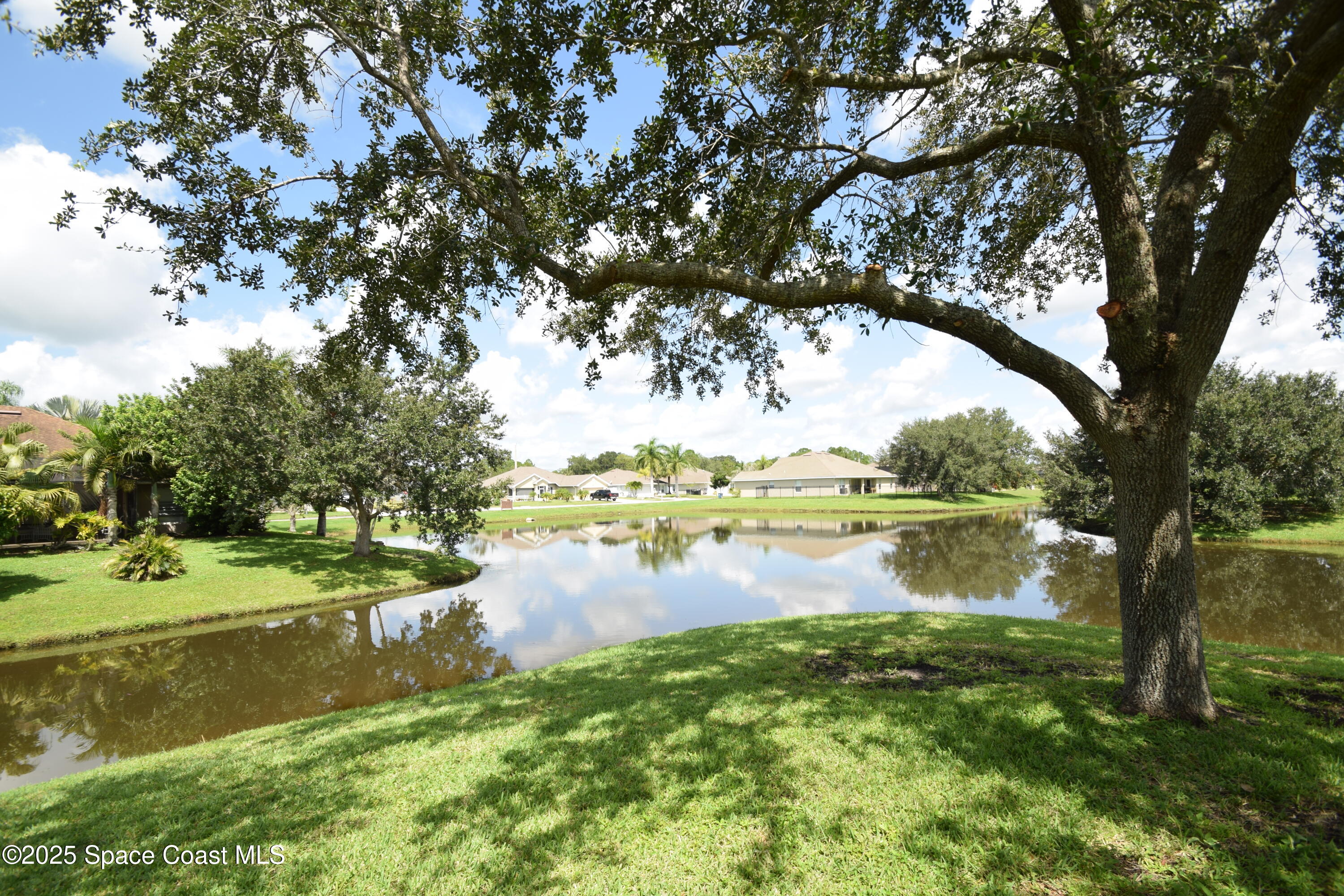 396 Pasto Circle Southwest Palm Bay, FL 32908 - Photo 60 of 75 backyard