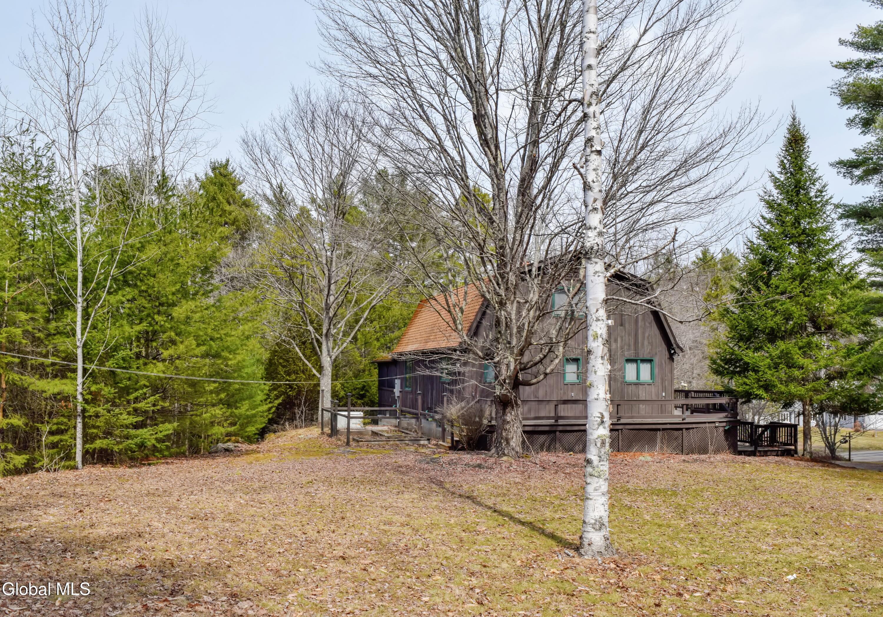 65 Donnelly Road Minerva, NY 12857 - Photo 3 of 52 2