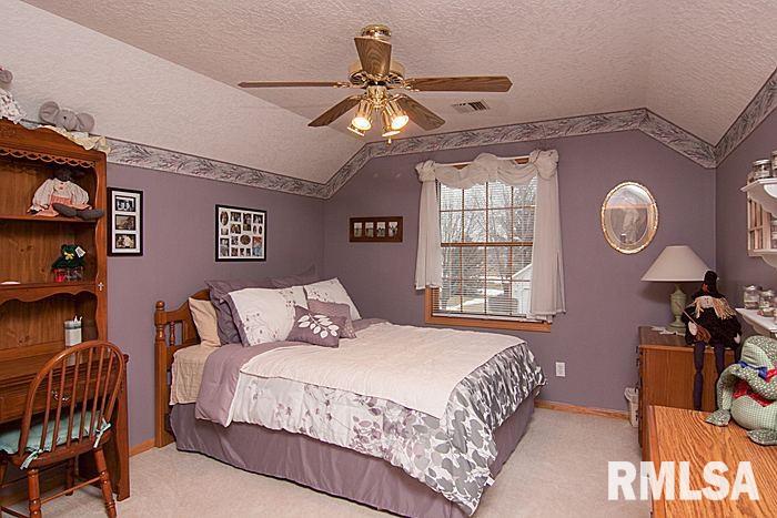 62 White Pine Road Geneseo, IL 61254 - Photo 17 of 24 Gallery Image 17