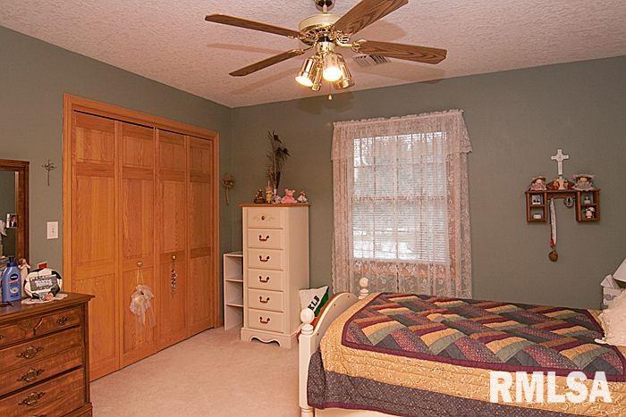 62 White Pine Road Geneseo, IL 61254 - Photo 19 of 24 Gallery Image 19