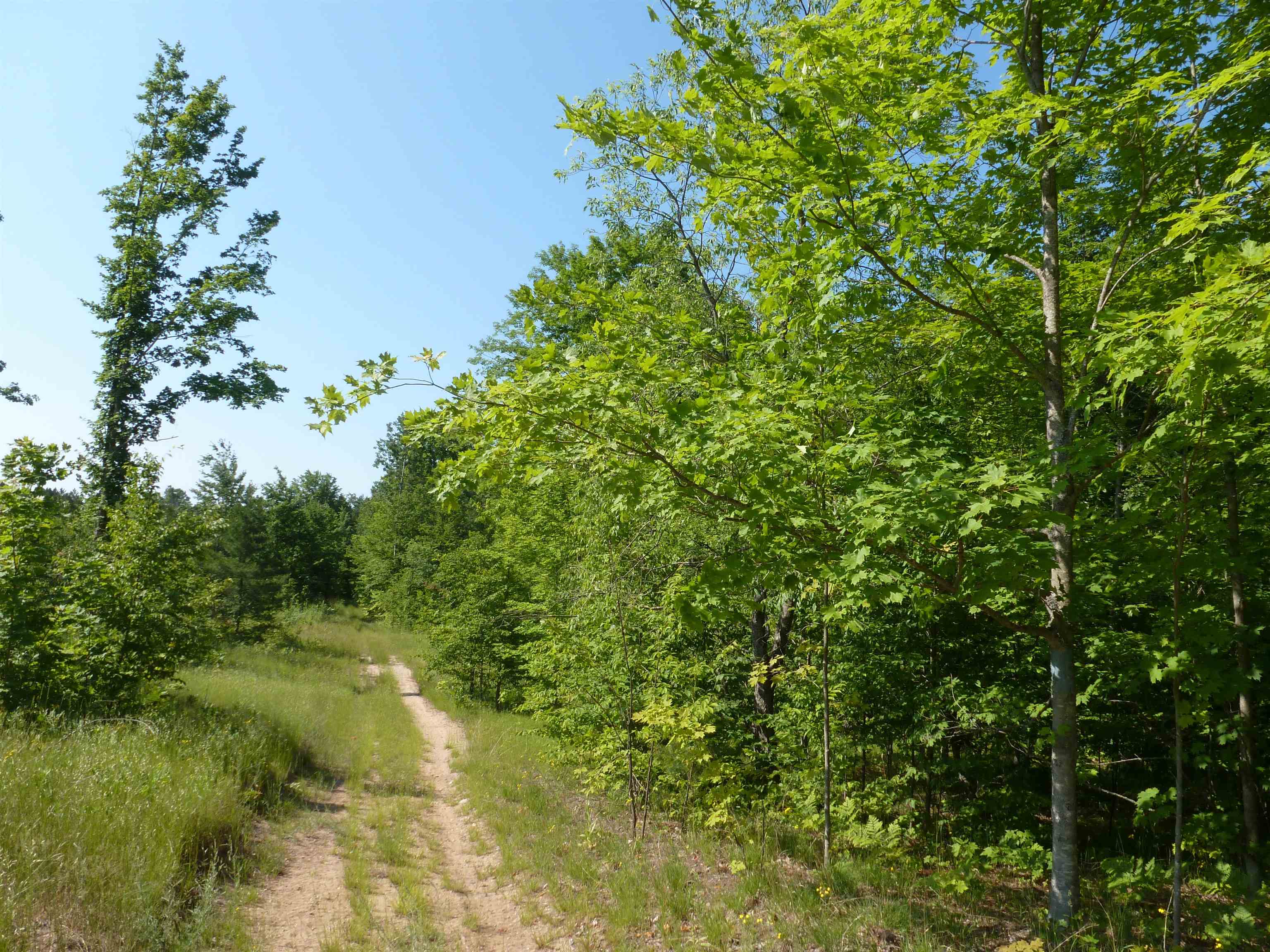 0 Summit Road Northeast Kalkaska, MI 49646 - Photo 1 of 11 1915112.JPG